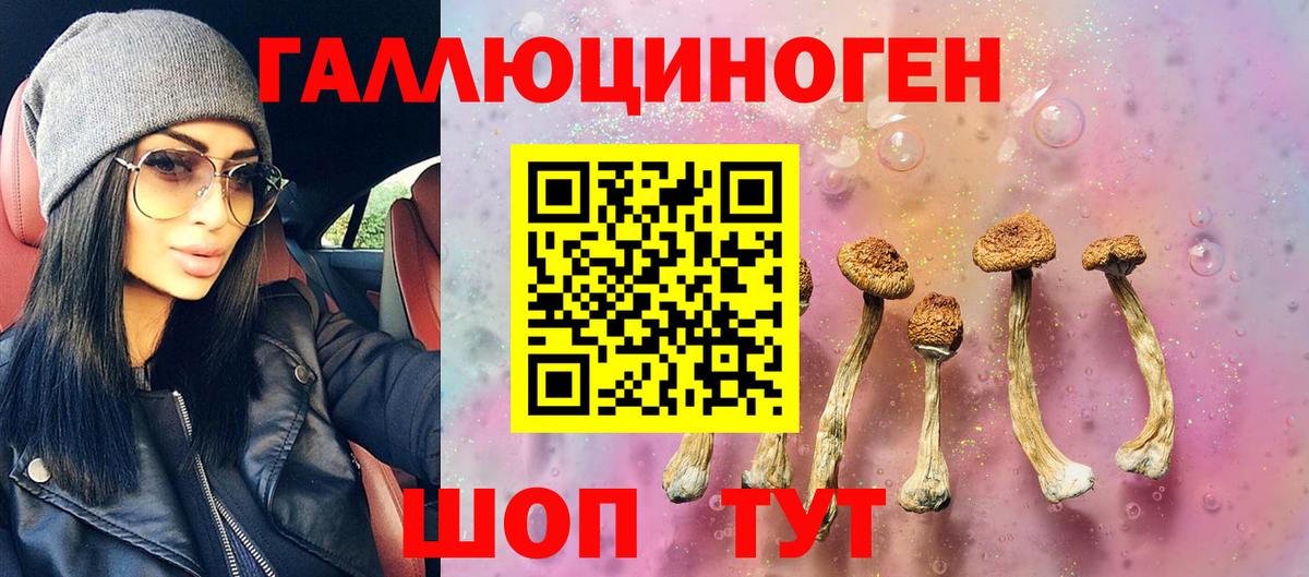 Галлюциногенные грибы прущие грибы Волжский