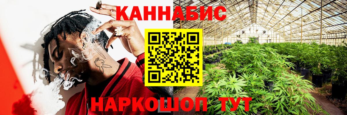 Конопля SATIVA & INDICA  Бошки Шишки AK-47  Бошки Шишки семена  Волжский  Вход с VPN 